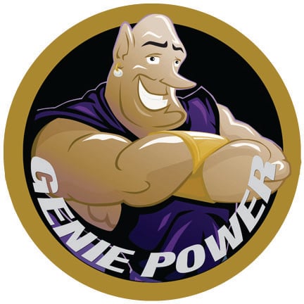 Avatar for Window Genie of North CT